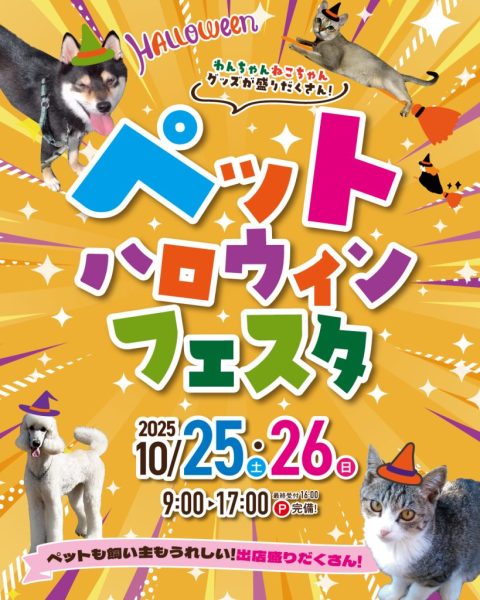 ペットイベント